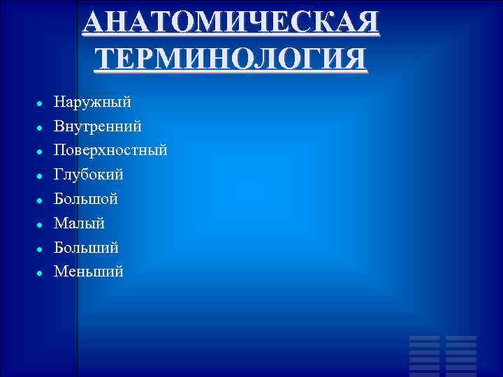 АНАТОМИЧЕСКАЯ ТЕРМИНОЛОГИЯ Наружный Внутренний Поверхностный Глубокий Большой Малый Больший Меньший 