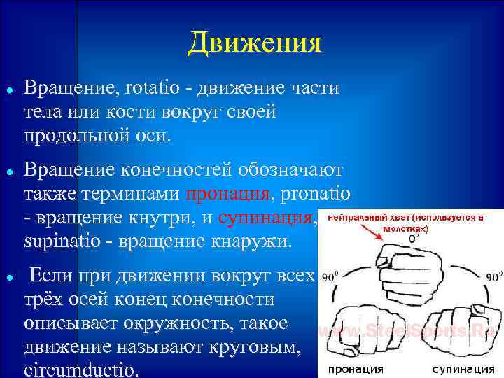 Движения Вращение, rotatio - движение части тела или кости вокруг своей продольной оси. Вращение