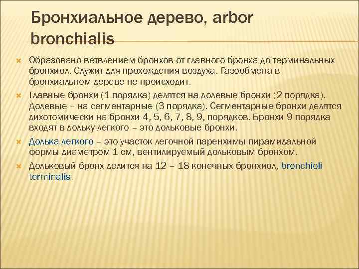 Бронхиальное дерево, arbor bronchialis Образовано ветвлением бронхов от главного бронха до терминальных бронхиол. Служит