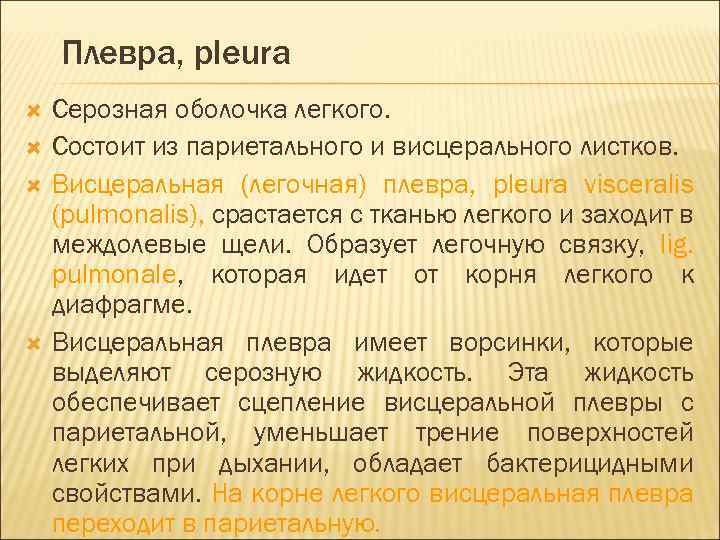 Плевра, pleura Серозная оболочка легкого. Состоит из париетального и висцерального листков. Висцеральная (легочная) плевра,