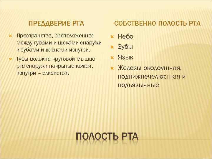 ПРЕДДВЕРИЕ РТА СОБСТВЕННО ПОЛОСТЬ РТА Пространство, расположенное между губами и щеками снаружи и зубами