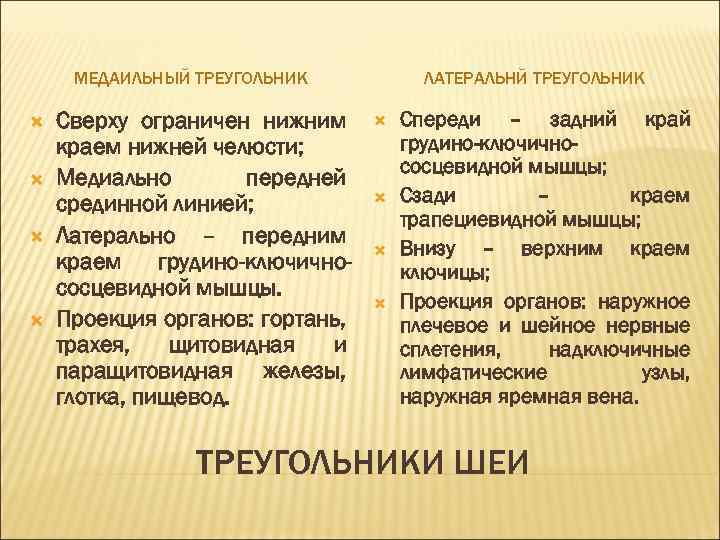 МЕДАИЛЬНЫЙ ТРЕУГОЛЬНИК Сверху ограничен нижним краем нижней челюсти; Медиально передней срединной линией; Латерально –