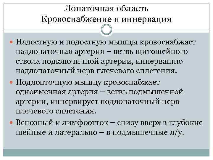 Лопаточная область Кровоснабжение и иннервация Надостную и подостную мышцы кровоснабжает надлопаточная артерия – ветвь