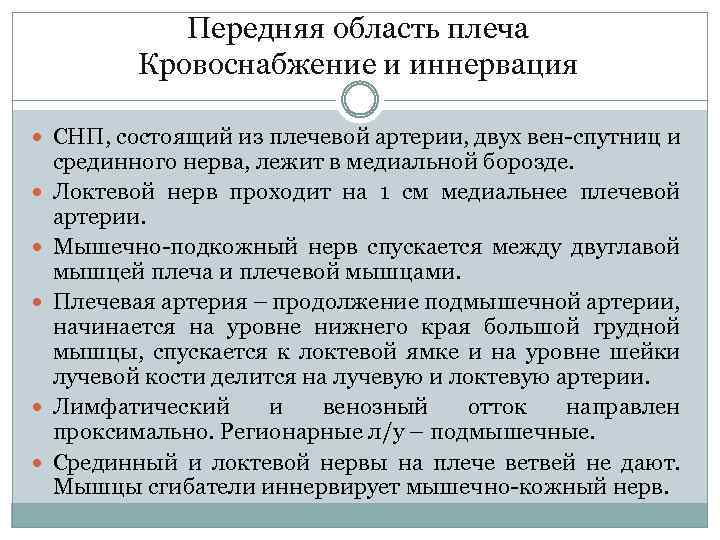 Передняя область плеча Кровоснабжение и иннервация СНП, состоящий из плечевой артерии, двух вен-спутниц и