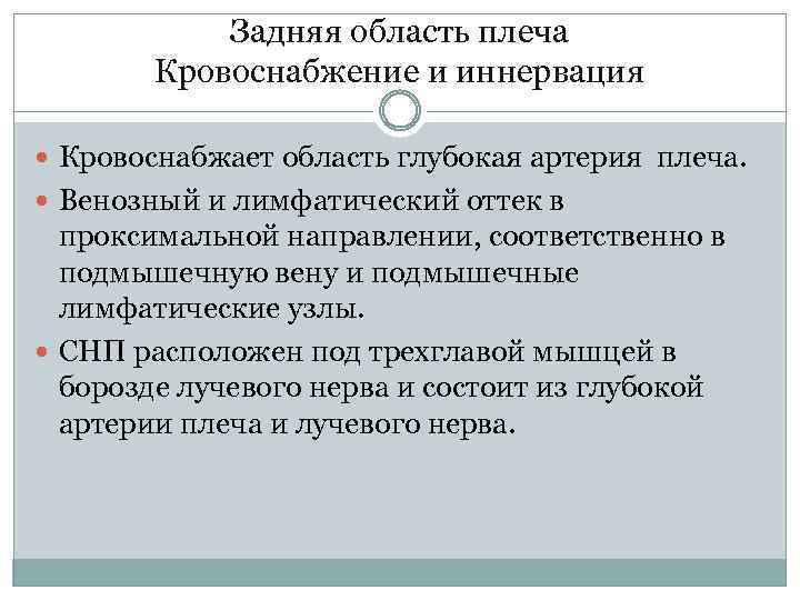 Задняя область плеча Кровоснабжение и иннервация Кровоснабжает область глубокая артерия плеча. Венозный и лимфатический