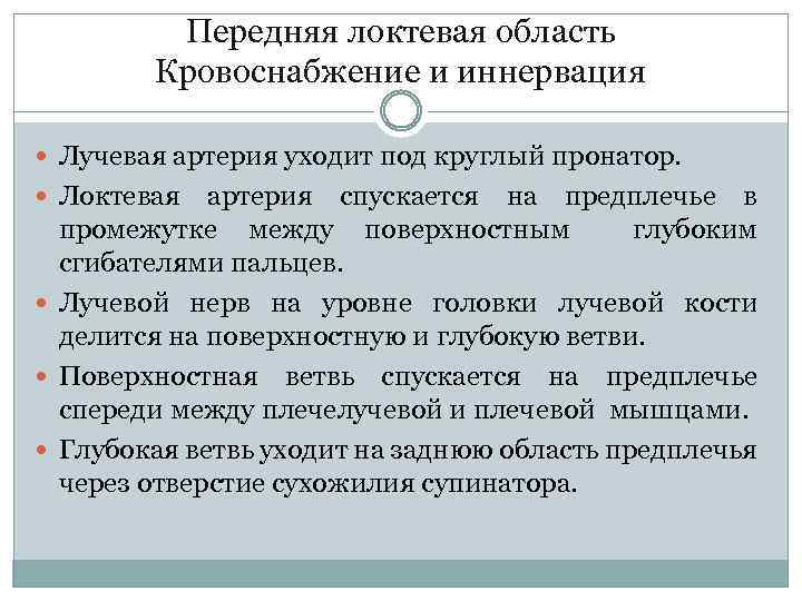 Передняя локтевая область Кровоснабжение и иннервация Лучевая артерия уходит под круглый пронатор. Локтевая артерия