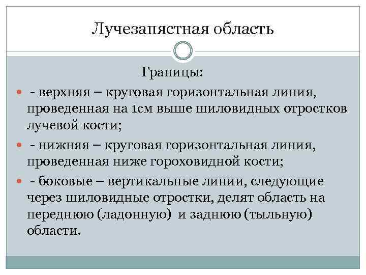 Лучезапястная область Границы: - верхняя – круговая горизонтальная линия, проведенная на 1 см выше