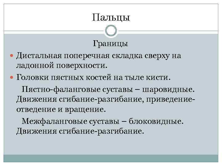 Пальцы Границы Дистальная поперечная складка сверху на ладонной поверхности. Головки пястных костей на тыле