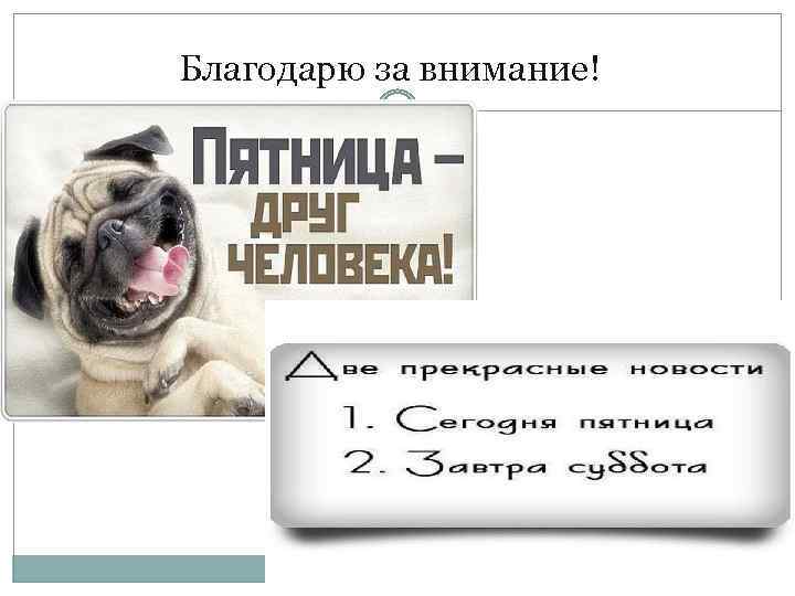 Благодарю за внимание! 