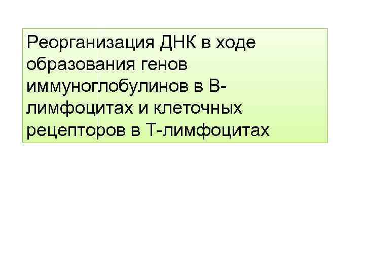Реорганизация ДНК в ходе образования генов иммуноглобулинов в Bлимфоцитах и клеточных рецепторов в Т-лимфоцитах