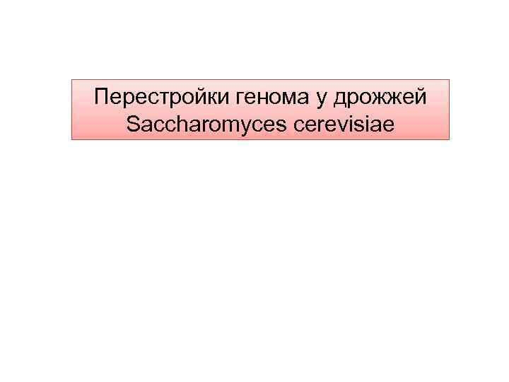 Перестройки генома у дрожжей Saccharomyces cerevisiae 