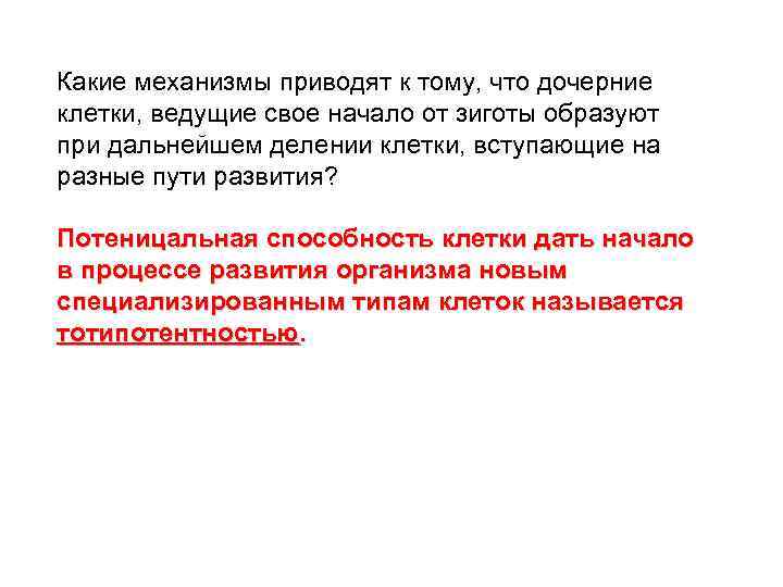 Какие механизмы приводят к тому, что дочерние клетки, ведущие свое начало от зиготы образуют