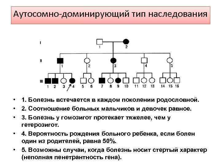 Коренной сколько поколений