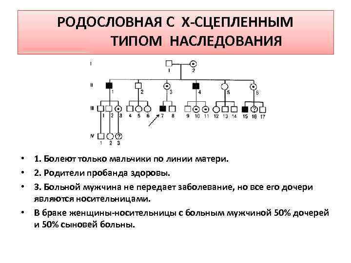 РОДОСЛОВНАЯ С Х-СЦЕПЛЕННЫМ ТИПОМ НАСЛЕДОВАНИЯ • 1. Болеют только мальчики по линии матери. •