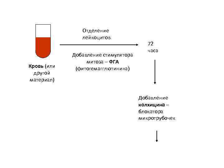 Отделение лейкоцитов Кровь (или другой материал) Добавление стимулятора митоза – ФГА (фитогемагглютинина) 72 часа