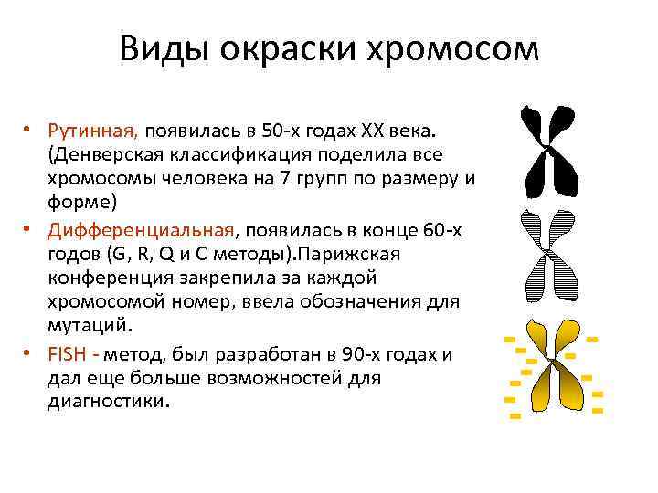 Виды окраски хромосом • Рутинная, появилась в 50 -х годах ХХ века. (Денверская классификация