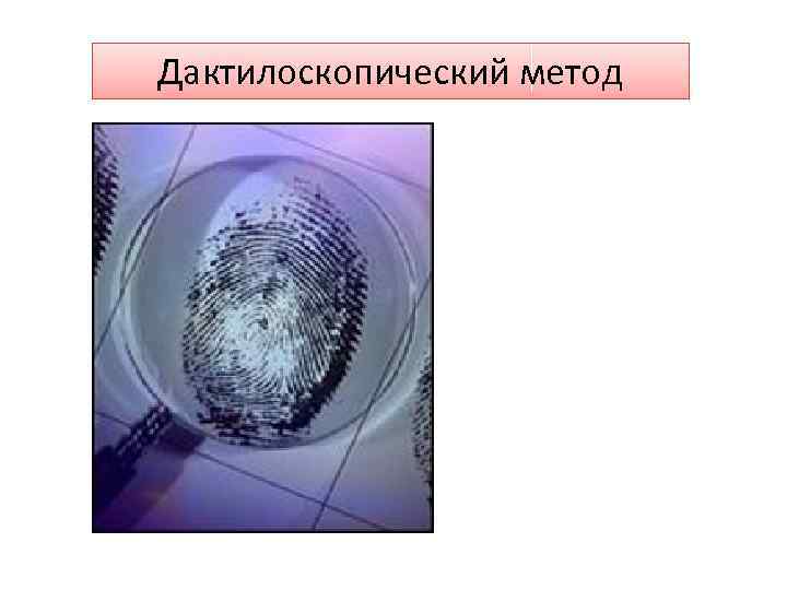 Дактилоскопическая экспертиза презентация