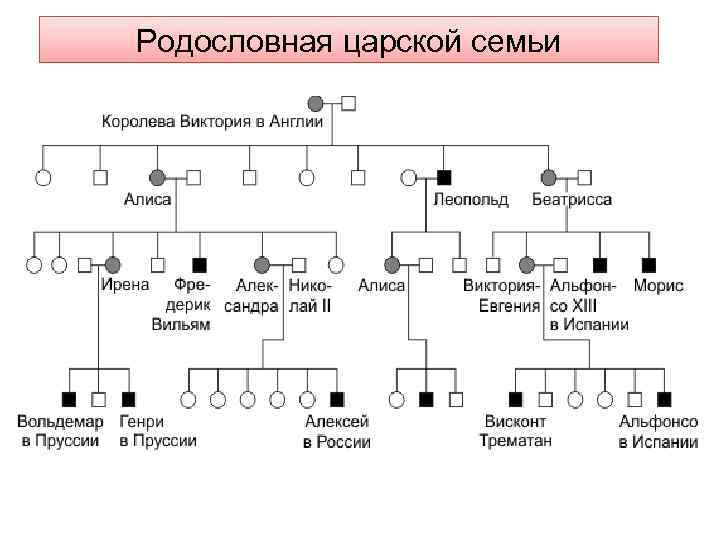 Родословная царской семьи 