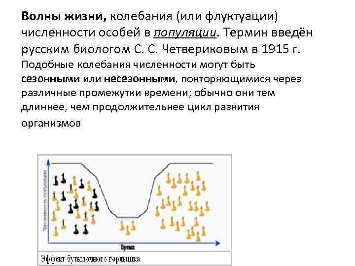 Волны жизни, колебания (или флуктуации) численности особей в популяции. Термин введён русским биологом С.