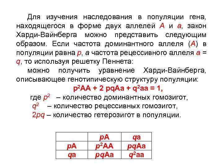 Для изучения наследования в популяции гена, находящегося в форме двух аллелей А и а,