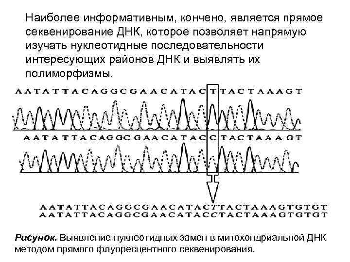 Наиболее информативным, кончено, является прямое секвенирование ДНК, которое позволяет напрямую изучать нуклеотидные последовательности интересующих