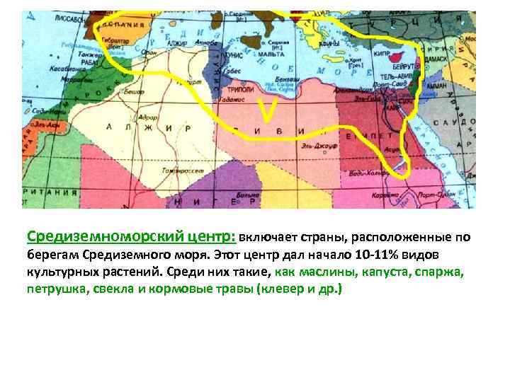 Средиземноморский центр: включает страны, расположенные по берегам Средиземного моря. Этот центр дал начало 10