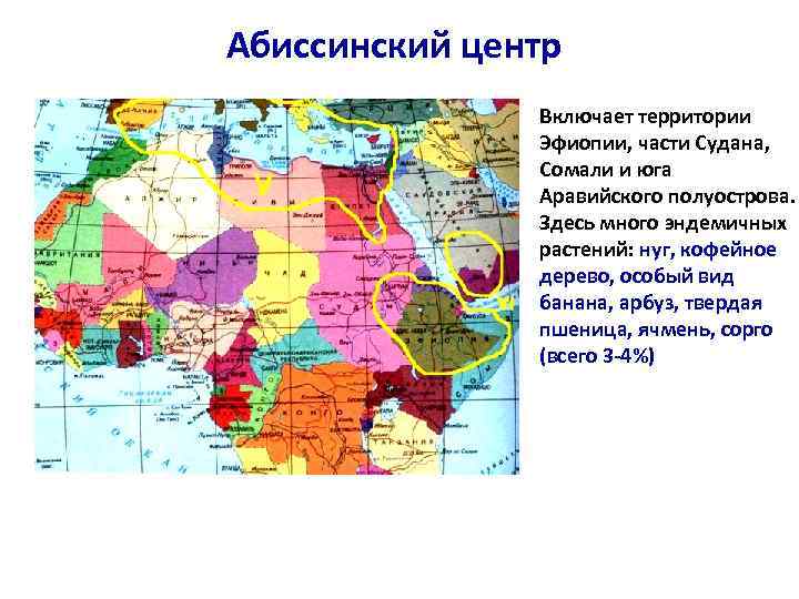 Абиссинский центр Включает территории Эфиопии, части Судана, Сомали и юга Аравийского полуострова. Здесь много