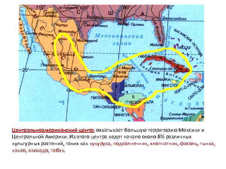 Центральноамериканский центр: охватывает большую территорию Мексики и Центральной Америки. Из этого центра ведет начало