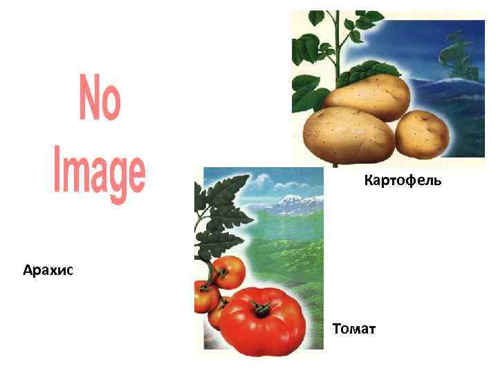 Картофель Арахис Томат 