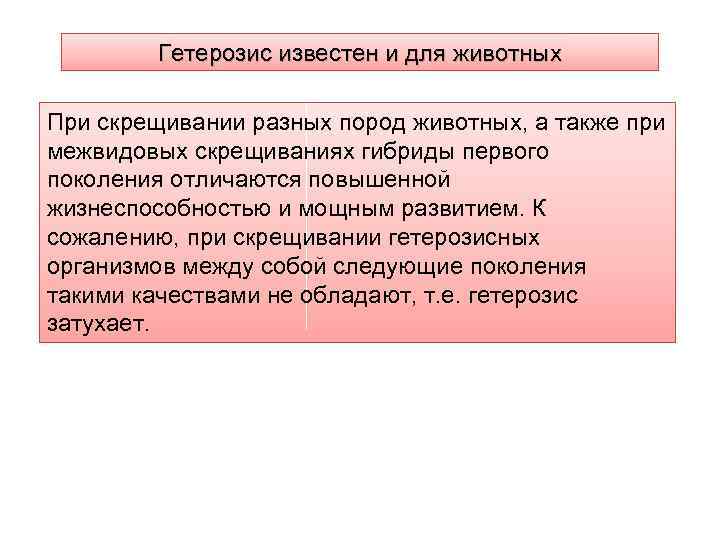 Гетерозис известен и для животных При скрещивании разных пород животных, а также при межвидовых