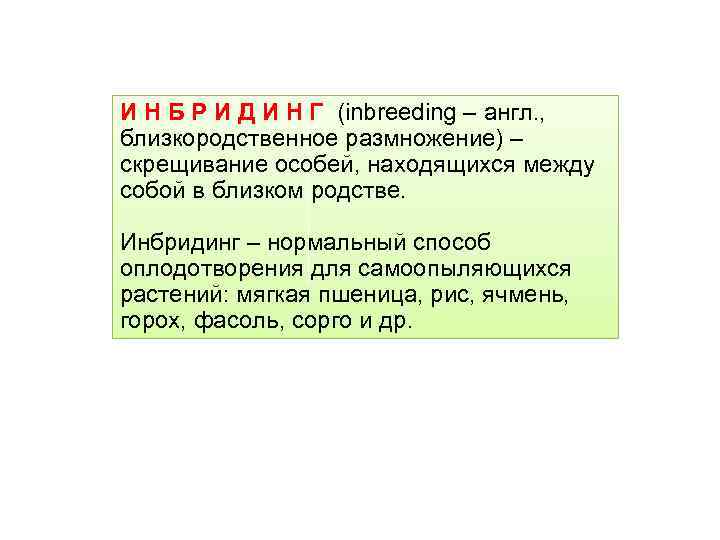 И Н Б Р И Д И Н Г (inbreeding – англ. , близкородственное