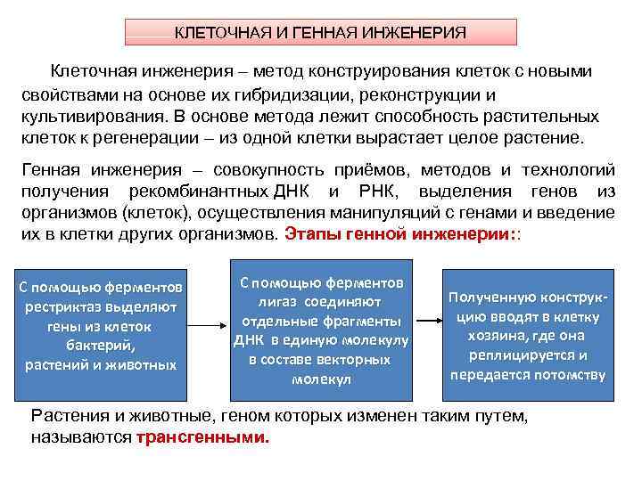 Презентация по биологии 10 класс генная и клеточная инженерия