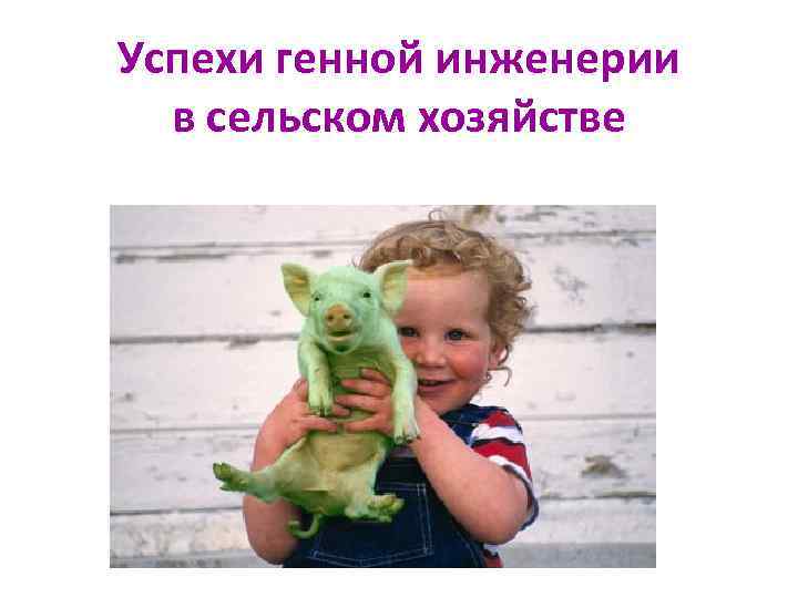 Успехи генной инженерии в сельском хозяйстве 