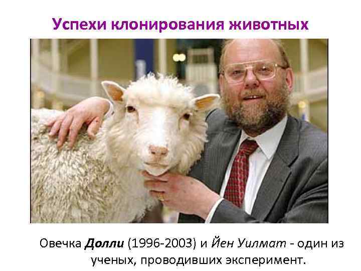 Успехи клонирования животных Овечка Долли (1996 -2003) и Йен Уилмат - один из ученых,