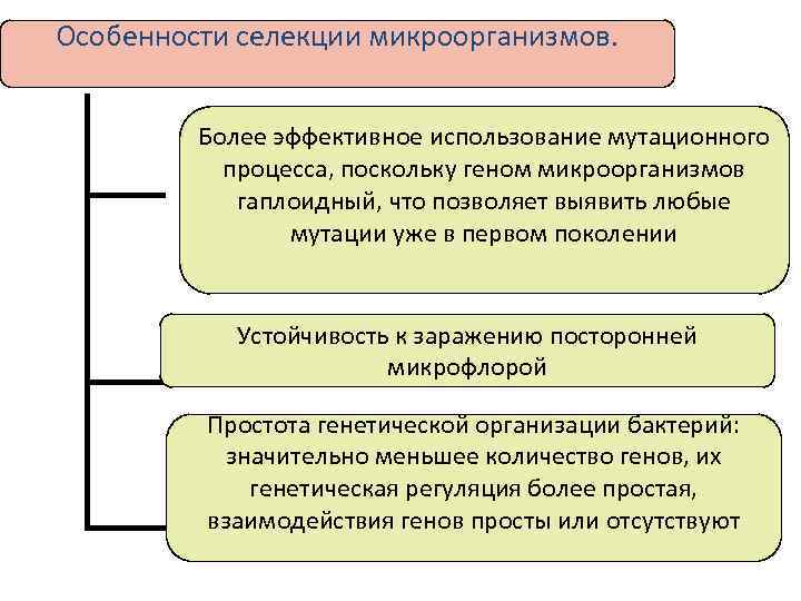 Упрощенная схема селекции микроорганизмов