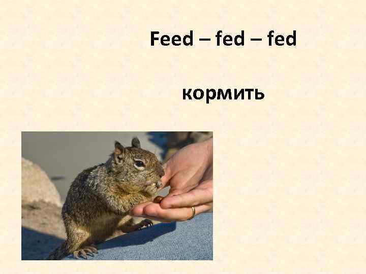 Feed – fed кормить 
