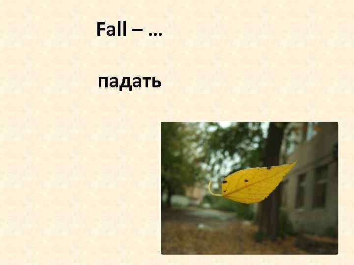 Fall – … падать 