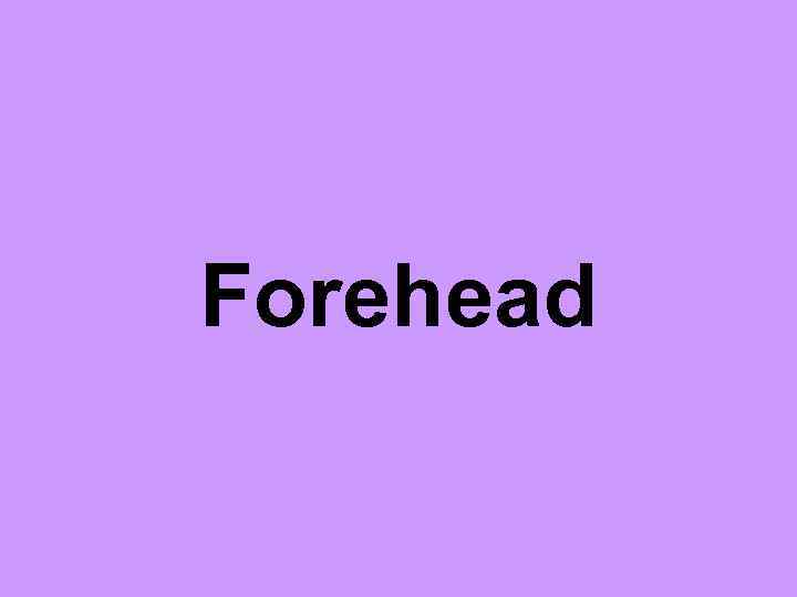 Forehead 