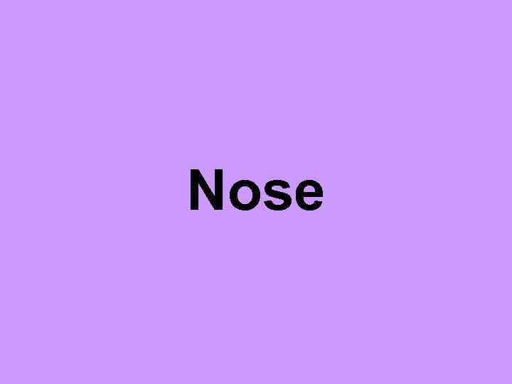 Nose 