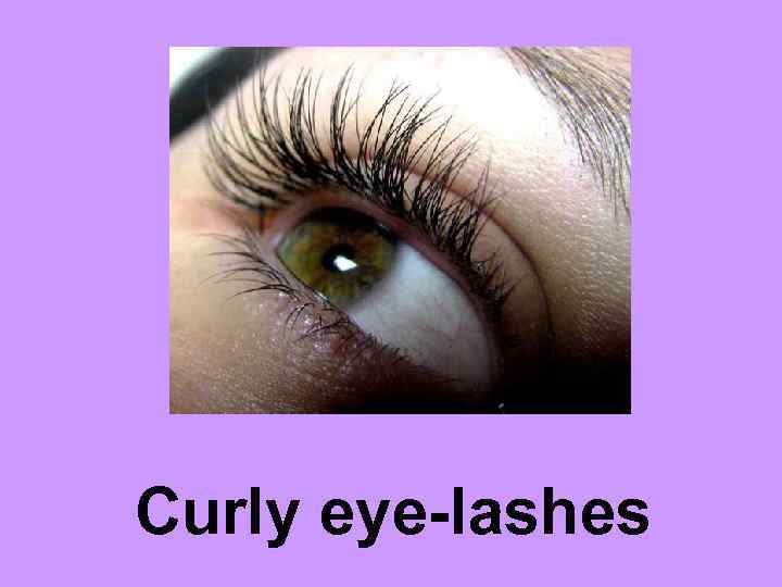 Curly eye-lashes 