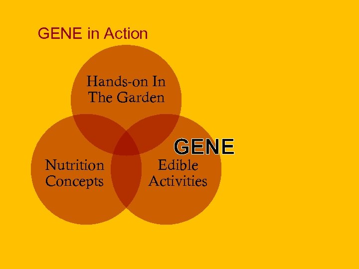 GENE in Action Hands-on In The Garden Nutrition Concepts GENE Edible Activities 