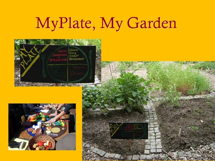 My. Plate, My Garden 