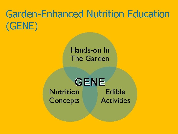 Garden-Enhanced Nutrition Education (GENE) Hands-on In The Garden GENE Nutrition Concepts Edible Activities 