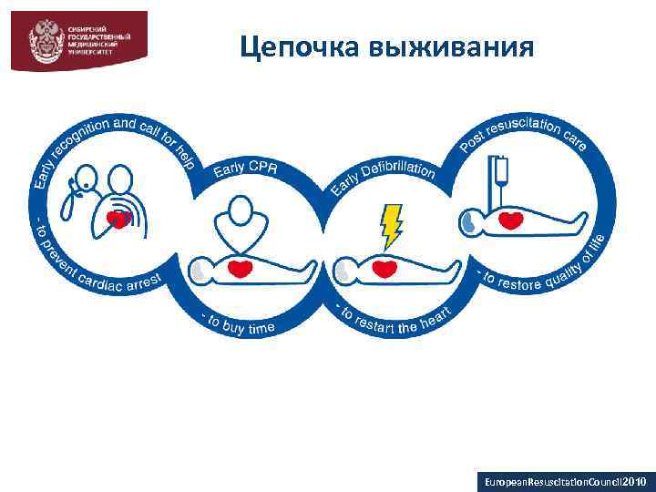 Цепочка выживания European. Resuscitation. Council 2010 