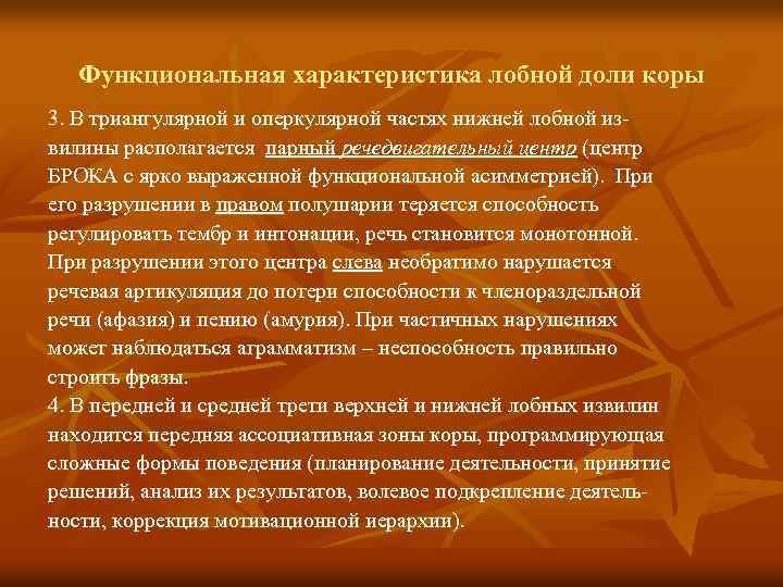 Функциональная характеристика лобной доли коры 3. В триангулярной и оперкулярной частях нижней лобной извилины