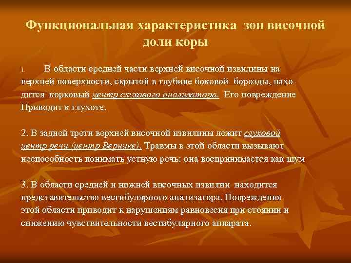 Функциональная характеристика зон височной доли коры В области средней части верхней височной извилины на