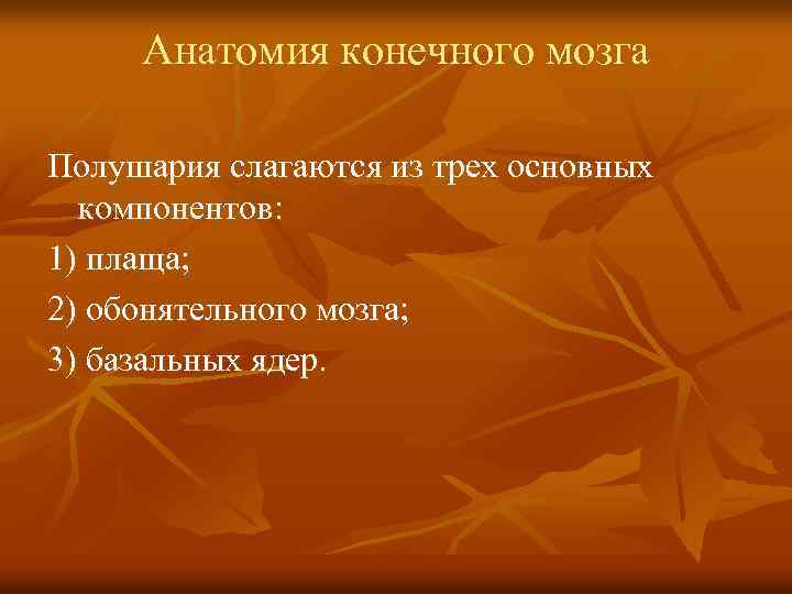 Анатомия конечного мозга Полушария слагаются из трех основных компонентов: 1) плаща; 2) обонятельного мозга;