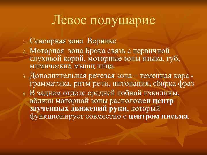 Левое полушарие 1. 2. 3. 4. Сенсорная зона Вернике Моторная зона Брока связь с