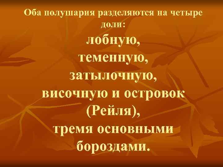 Оба полушария разделяются на четыре доли: лобную, теменную, затылочную, височную и островок (Рейля), тремя