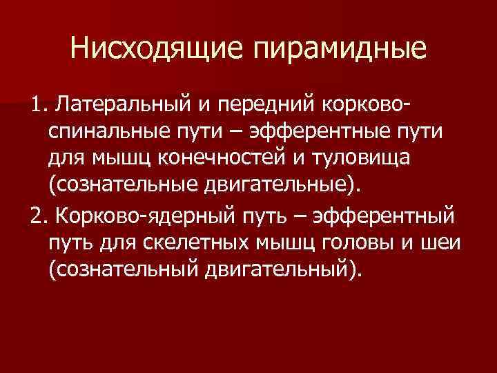 Нисходящие пирамидные 1. Латеральный и передний корковоспинальные пути – эфферентные пути для мышц конечностей